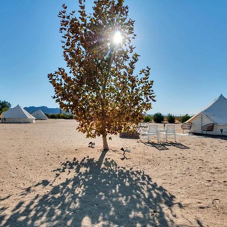 The Castle House Estate Hotel Joshua Tree Exterior photo