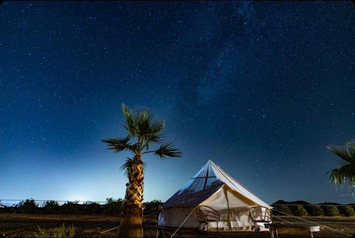 The Castle House Estate Hotel Joshua Tree Exterior photo