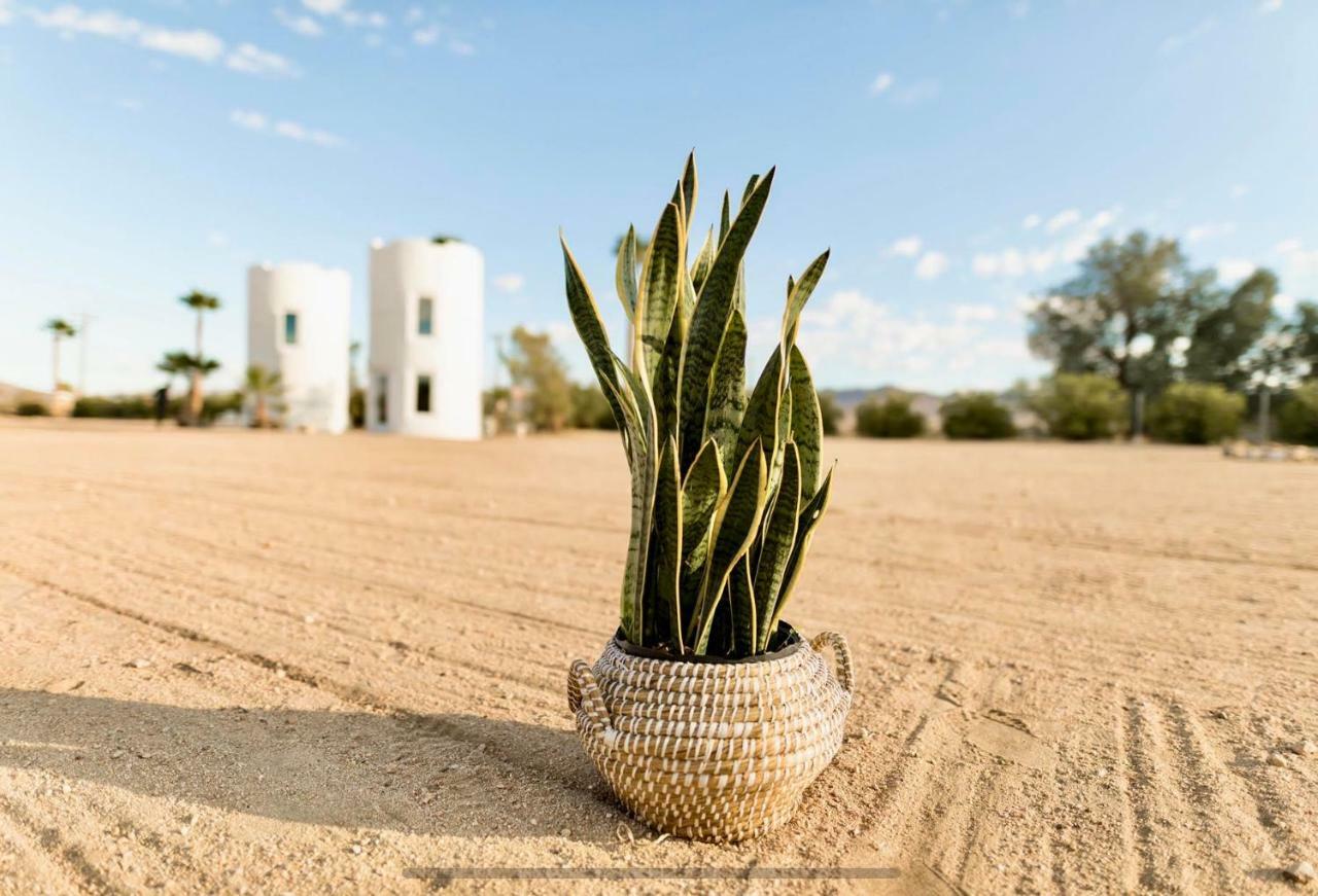 The Castle House Estate Hotel Joshua Tree Exterior photo