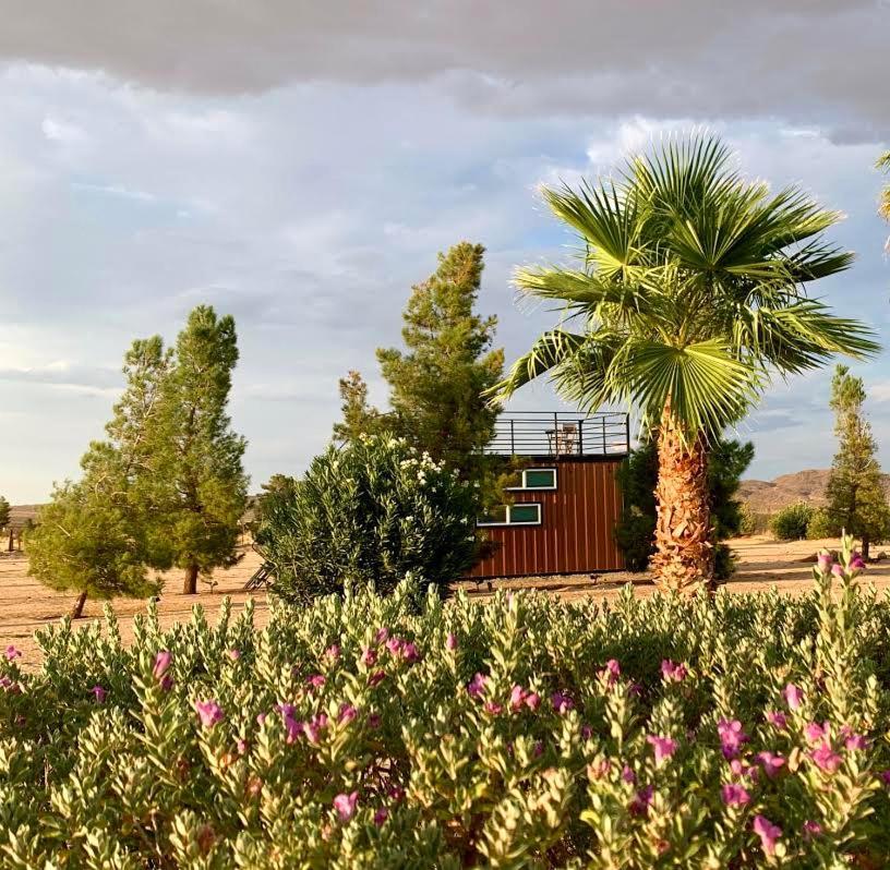 The Castle House Estate Hotel Joshua Tree Exterior photo